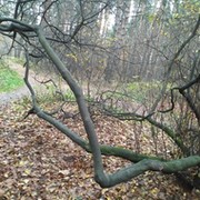 Павел Коровьев on My World.