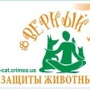 Крымская общественная организация Лига защиты животных группа в Моем Мире.