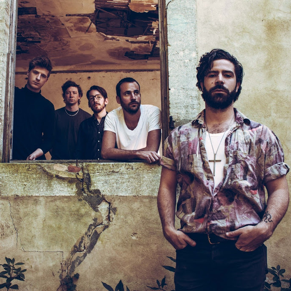 Foals