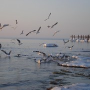 Best Photo Club AKTAU группа в Моем Мире.