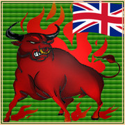 Fighting  Bull on My World.