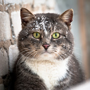 Илья Смирнов on My World.