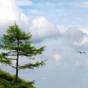 Ольга Дьяченко on My World.