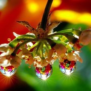Татьяна Алексеевна on My World.