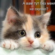 Дмитрий Николаевич on My World.