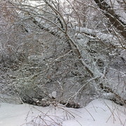 Алексей Поляков on My World.