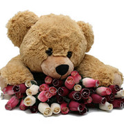 Ana Brodari on My World.