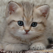 Айжан Смагулова on My World.
