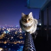 Михаил Безнощенко on My World.