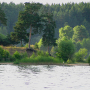 владимир григорьев on My World.