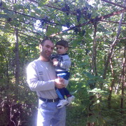 Hamlet Hakobyan on My World.