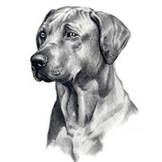 DOG FM FASHION on My World.