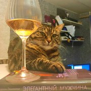 кошак мурзель on My World.
