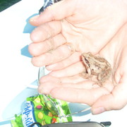 Ирина Едигарова on My World.