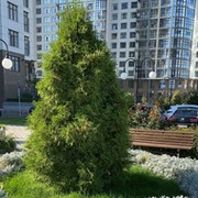 клон  129 on My World.