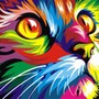 Evgen FunnySocks