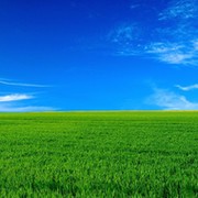 ВЛАДИМИР МЕФОДЬЕВИЧ on My World.
