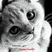 Анна Мокрова on My World.