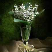 Оксана Маценко on My World.