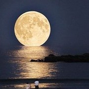 Огнянова Наталья on My World.