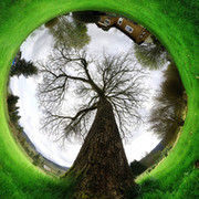 Ольга Степаненко on My World.