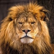 Владимир Бобонаков on My World.