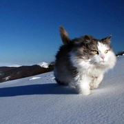 Остап Бендер on My World.