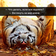 Николай Карпушкин on My World.