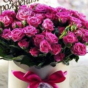 Ольга Суворова on My World.