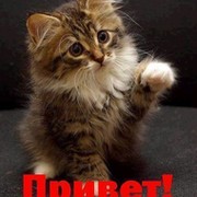 Котик Серый on My World.