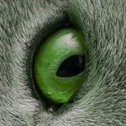 Евгения Волкова on My World.