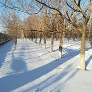 Николай Гладкевич on My World.