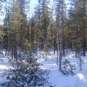 Александр Савин on My World.