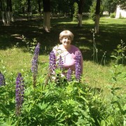 Ирина трандина - руза, московская обл., россия, 66 лет на мой мир@mail.ru.