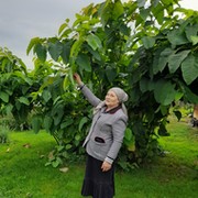 Евгения Кульпина Кожевникова-Заболтская on My World.