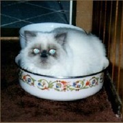 Елена Михеева on My World.