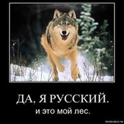 wolf 1 on My World.