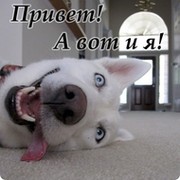 РАФАЭЛЬ ЯППАРОВ on My World.